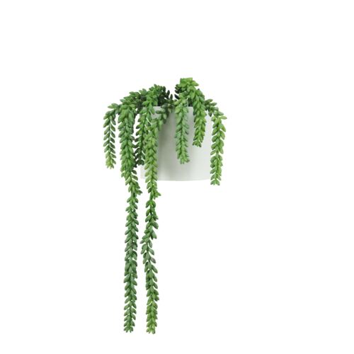 Plante succulente retombante artificielle 44cm sur fond blanc