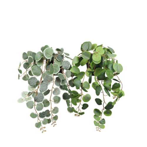 Eucalyptus artificiel retombant 40cm lot de 2 sur fond blanc