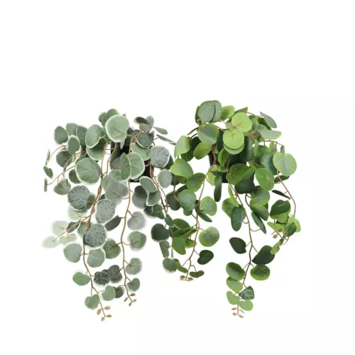 Eucalyptus artificiel retombant 40cm lot de 2 sur fond blanc