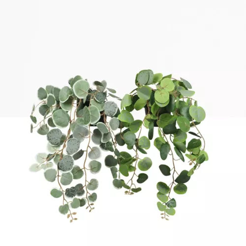 Eucalyptus artificiel retombant 40cm lot de 2 sur fond beige
