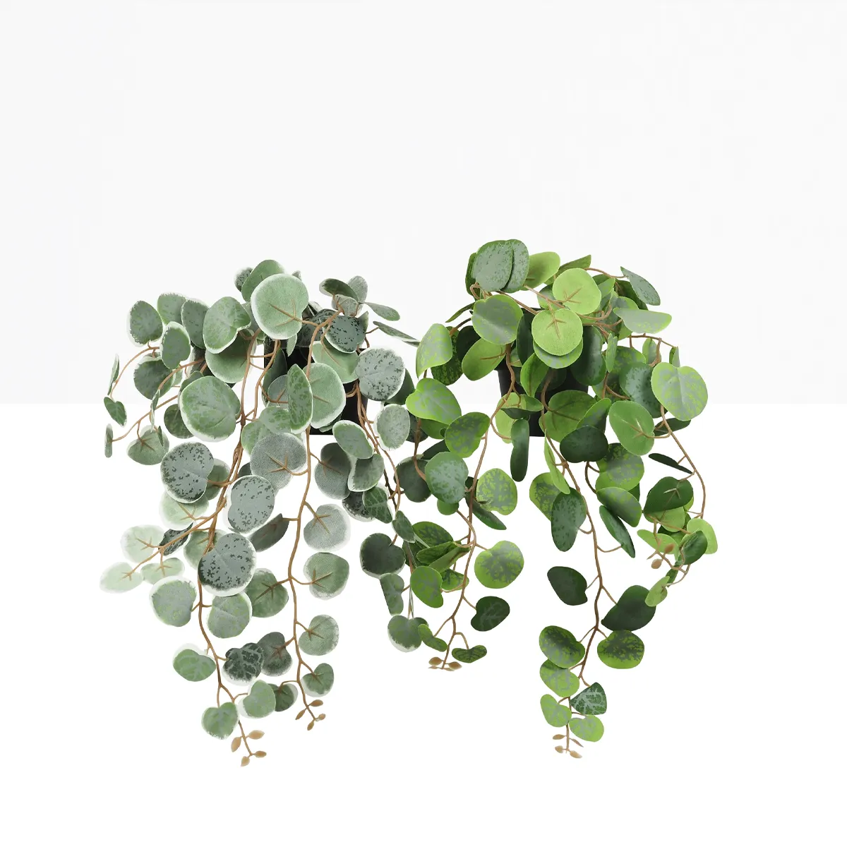 Eucalyptus artificiel retombant 40cm lot de 2 sur fond beige