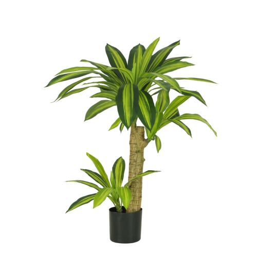 Dracena artificiel toucher naturel 80cm sur fond blanc