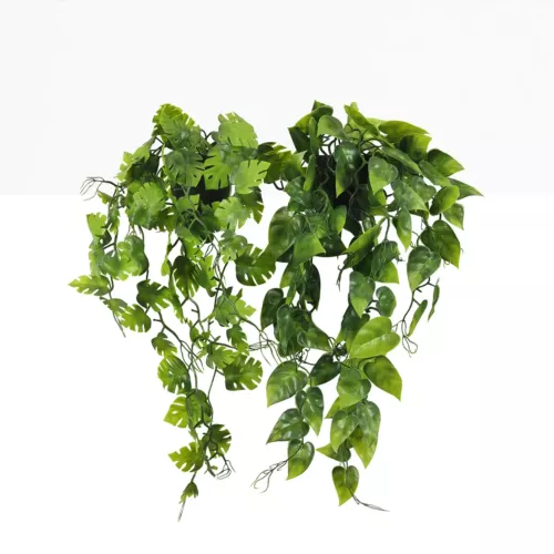 Plante succulente retombante artificielle 50cm lot de 2 sur fond beige