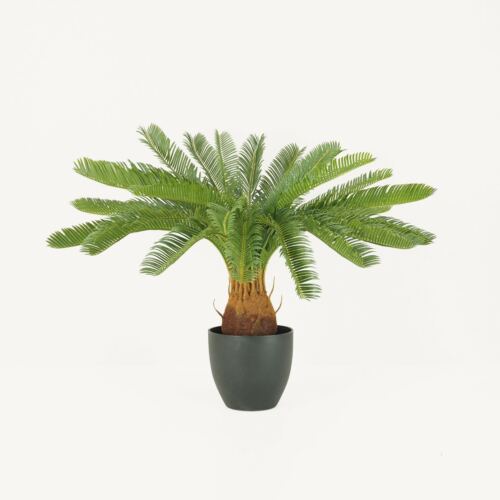 Palmier artificiel cycas 70cm sur fond beige