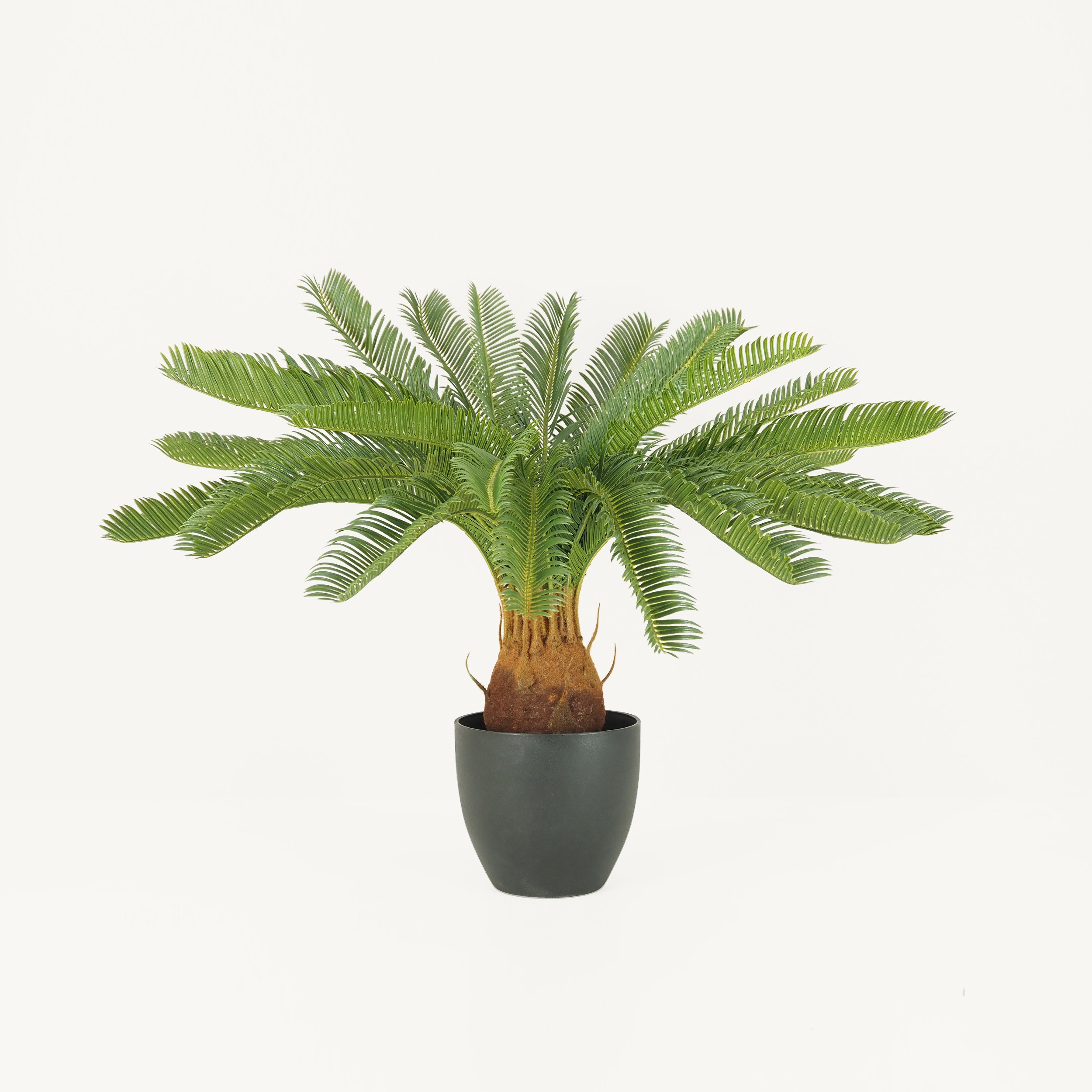 Palmier artificiel cycas 70cm sur fond beige