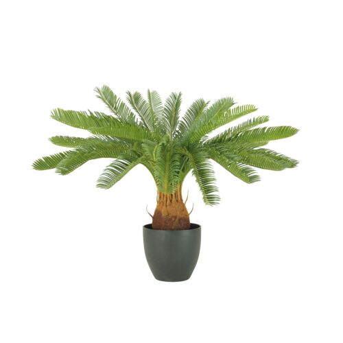 Palmier artificiel cycas 70cm sur fond blanc