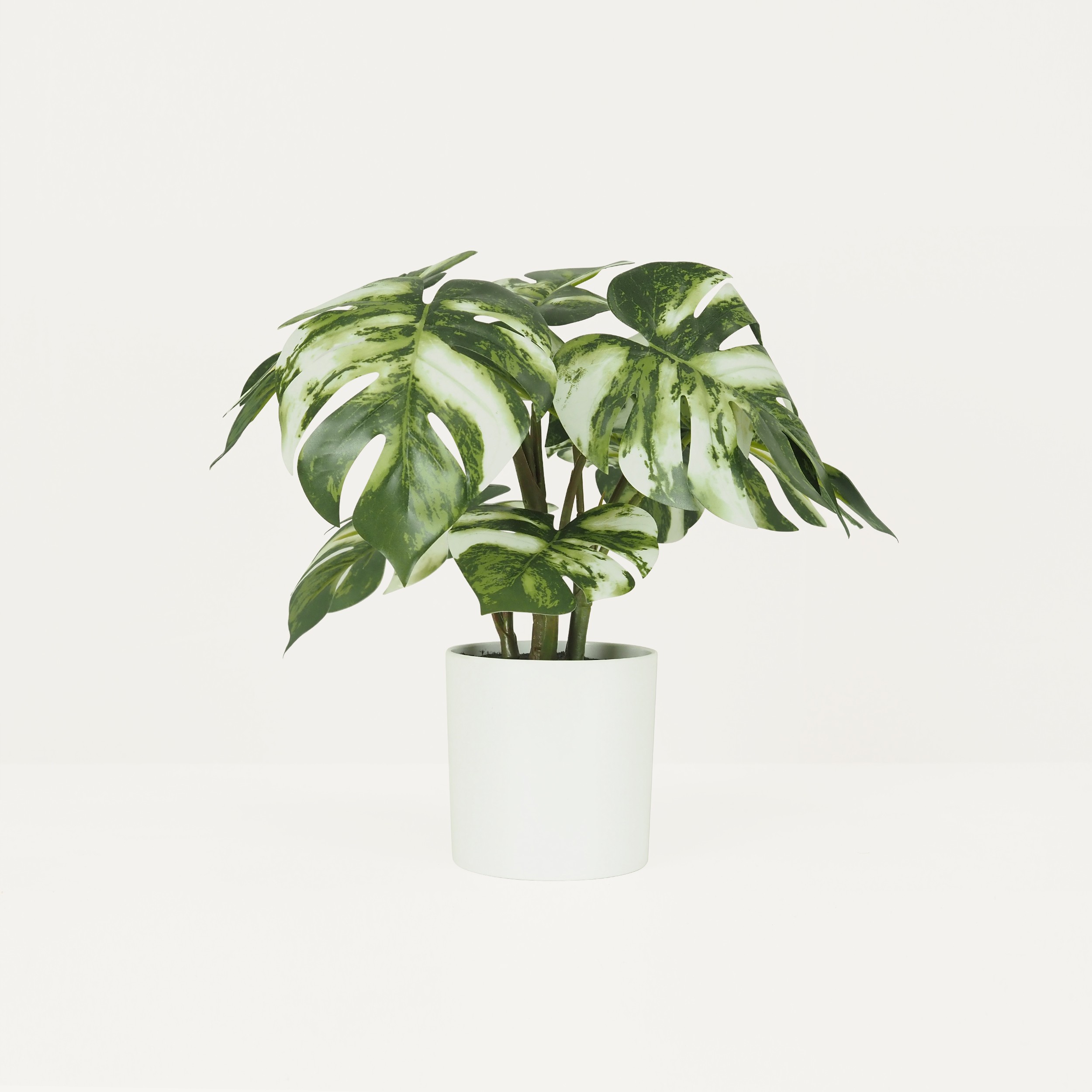 Monstera artificiel variegata toucher naturel 35cm sur fond beige