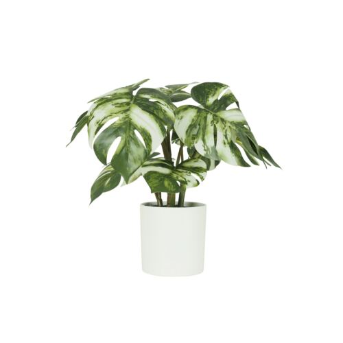 Monstera artificiel variegata toucher naturel 35cm sur fond blanc