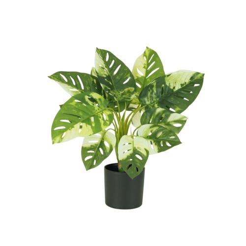 Monstera artificiel toucher naturel 50cm sur fond blanc