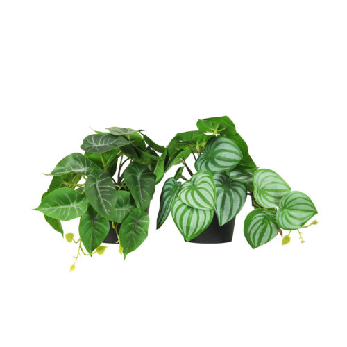 Plante artificielle tombante 18cm lot de 2 sur fond blanc
