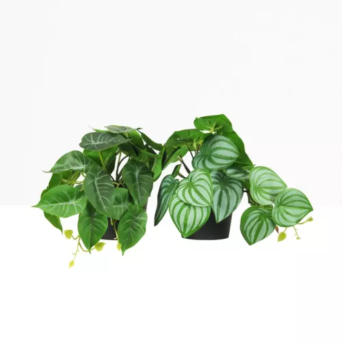 Plante artificielle tombante 18cm lot de 2 sur fond beige