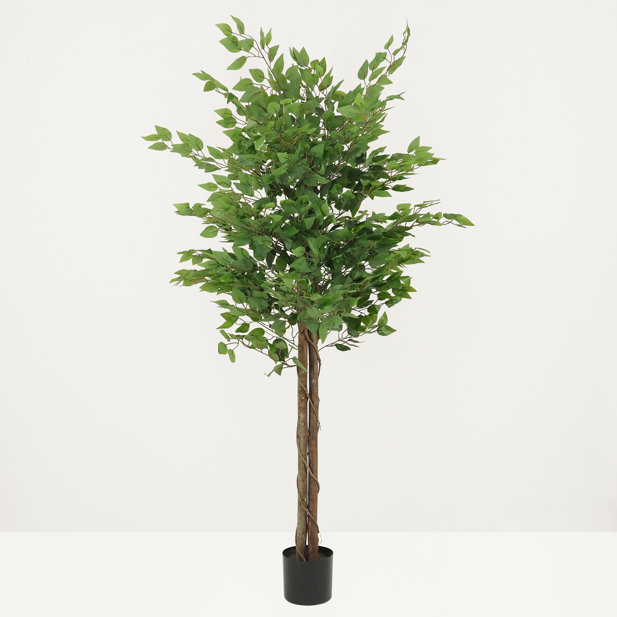 Ficus artificiel vert 180cm sur fond beige