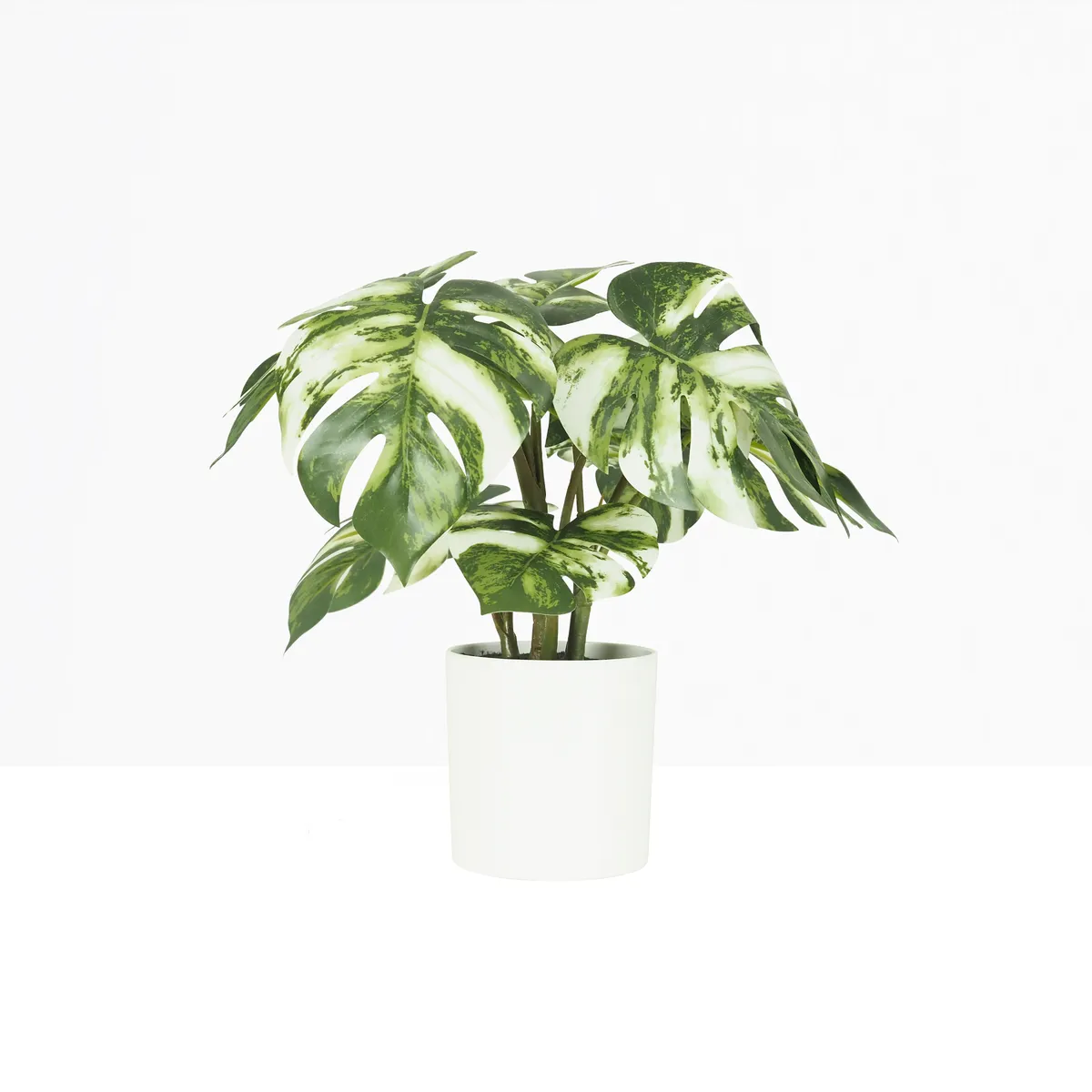 Monstera artificiel variegata toucher naturel 35cm sur fond beige