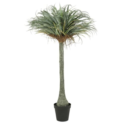 Yucca artificiel 180cm sur fond blanc
