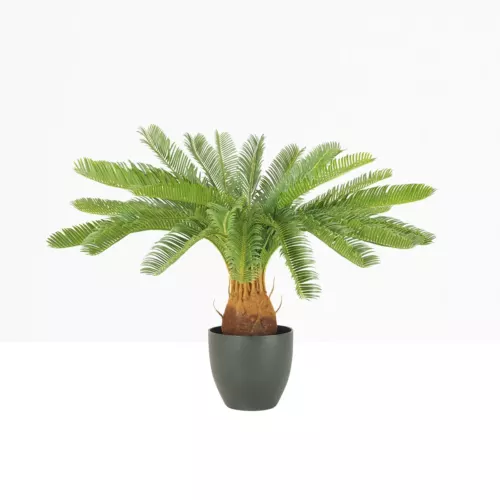 Palmier artificiel cycas 70cm sur fond beige