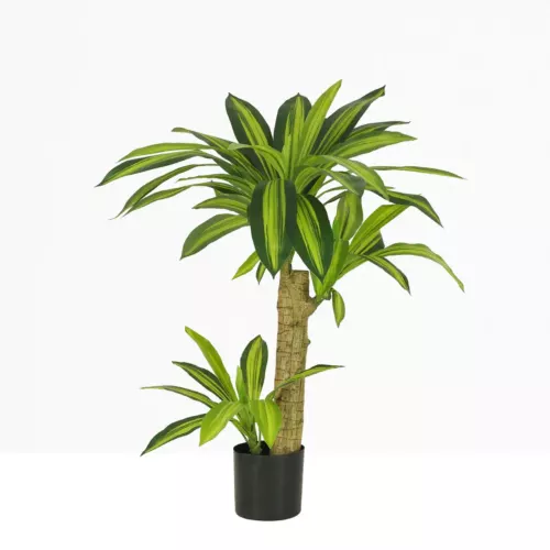 Dracaena artificielle 80 cm sur fond beige