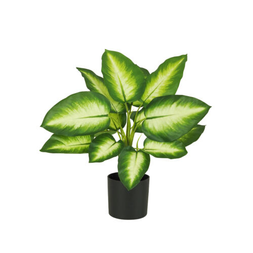 Dieffenbachia artificiel toucher naturel 50cm sur fond blanc