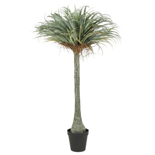 Yucca artificiel 180cm sur fond blanc