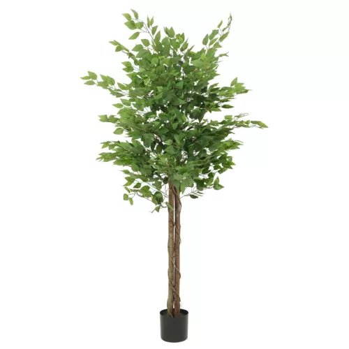 Ficus artificiel vert 180cm sur fond blanc