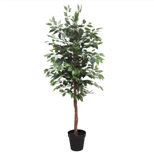 Ficus artificiel vert 180cm sur fond blanc