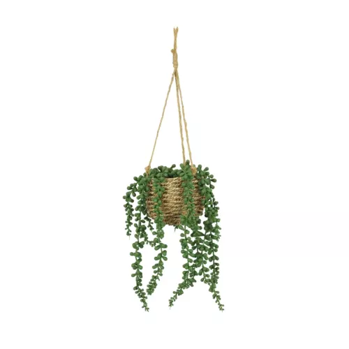 Succulente artificielle suspension 60cm sur fond blanc