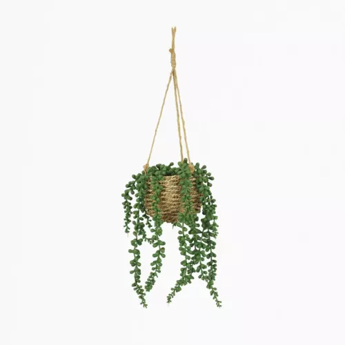 Succulente artificielle suspension 60cm sur fond beige