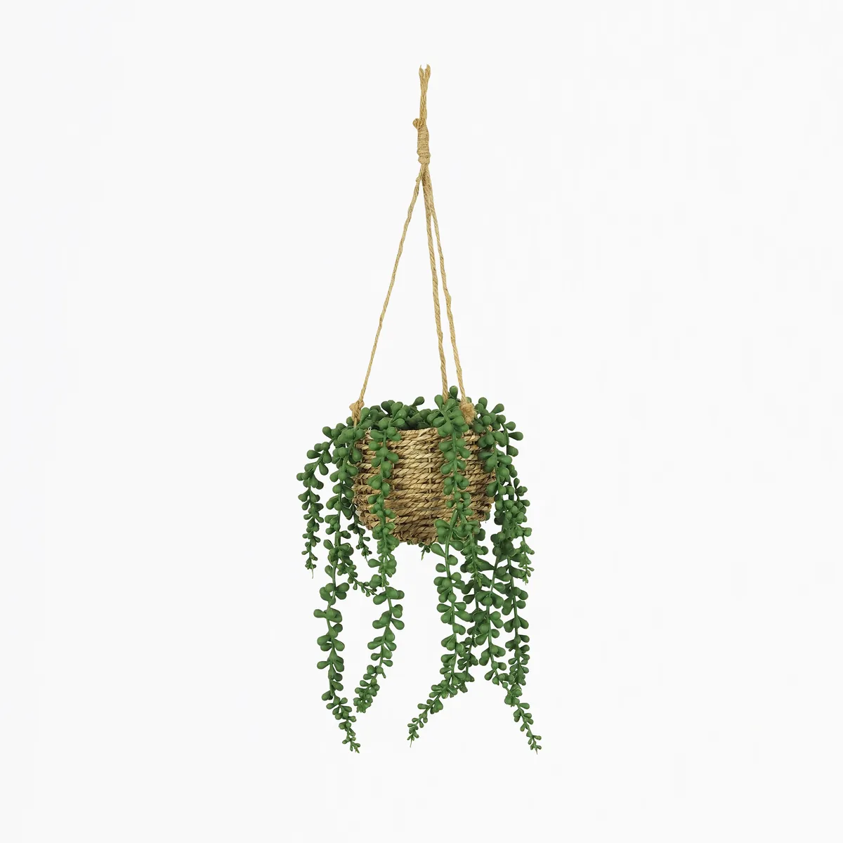 Succulente artificielle suspension 60cm sur fond beige