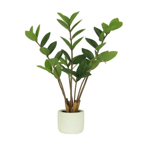 Plante verte zamioculcas artificiel 48cm sur fond blanc