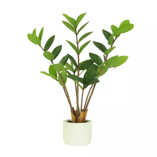 Plante verte zamioculcas artificiel 48cm sur fond blanc