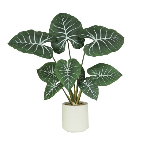 Plante taro artificiel 85cm sur fond blanc