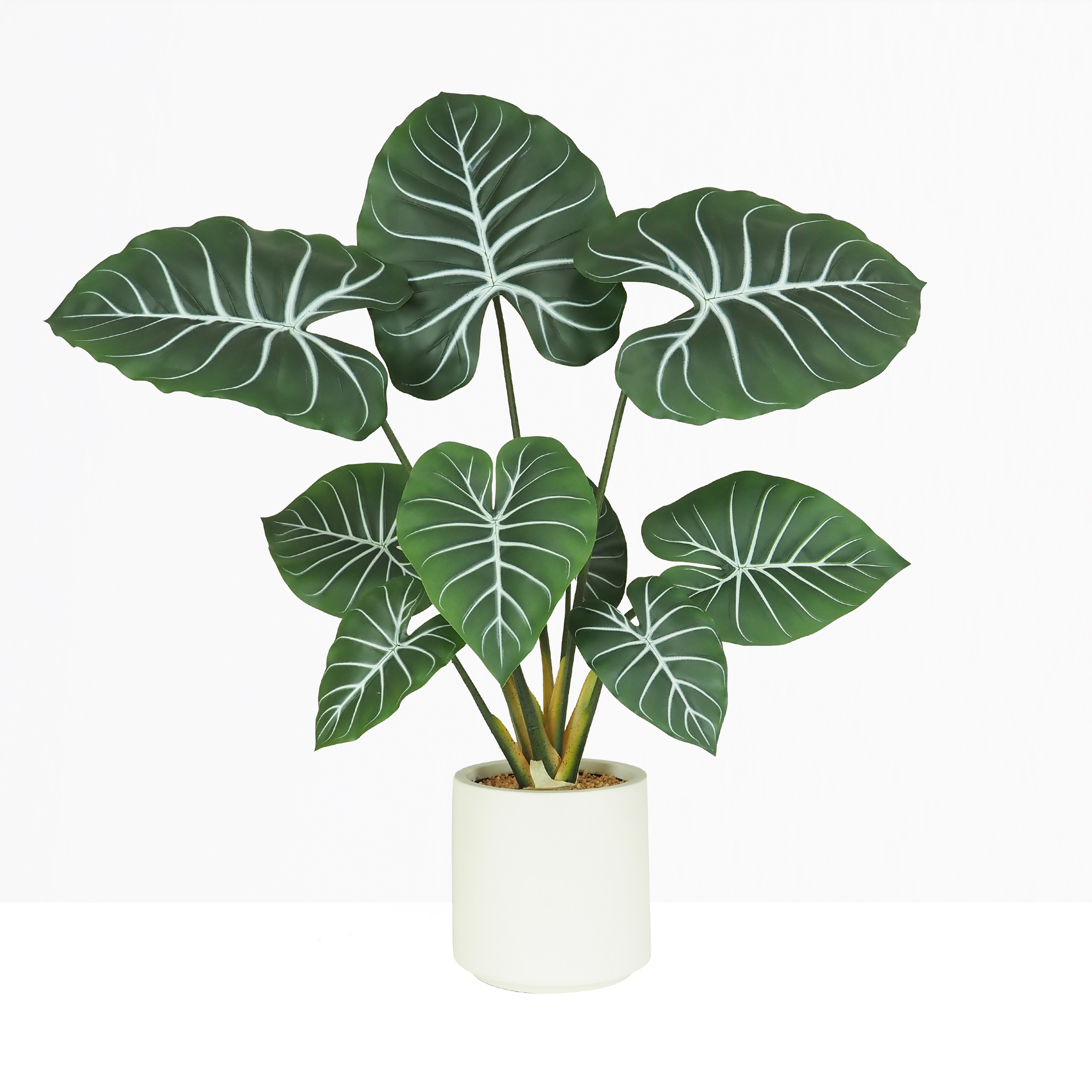 Plante taro artificiel 85cm sur fond beige