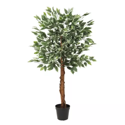 Ficus artificiel panaché 588 feuilles 120cm sur fond blanc