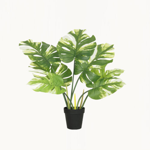 Monstera artificiel 40cm sur fond blanc