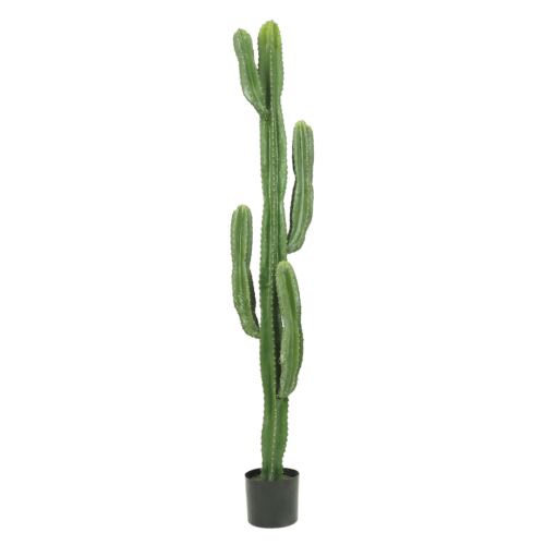 Cactus artificiel grande taille 155cm sur fond blanc