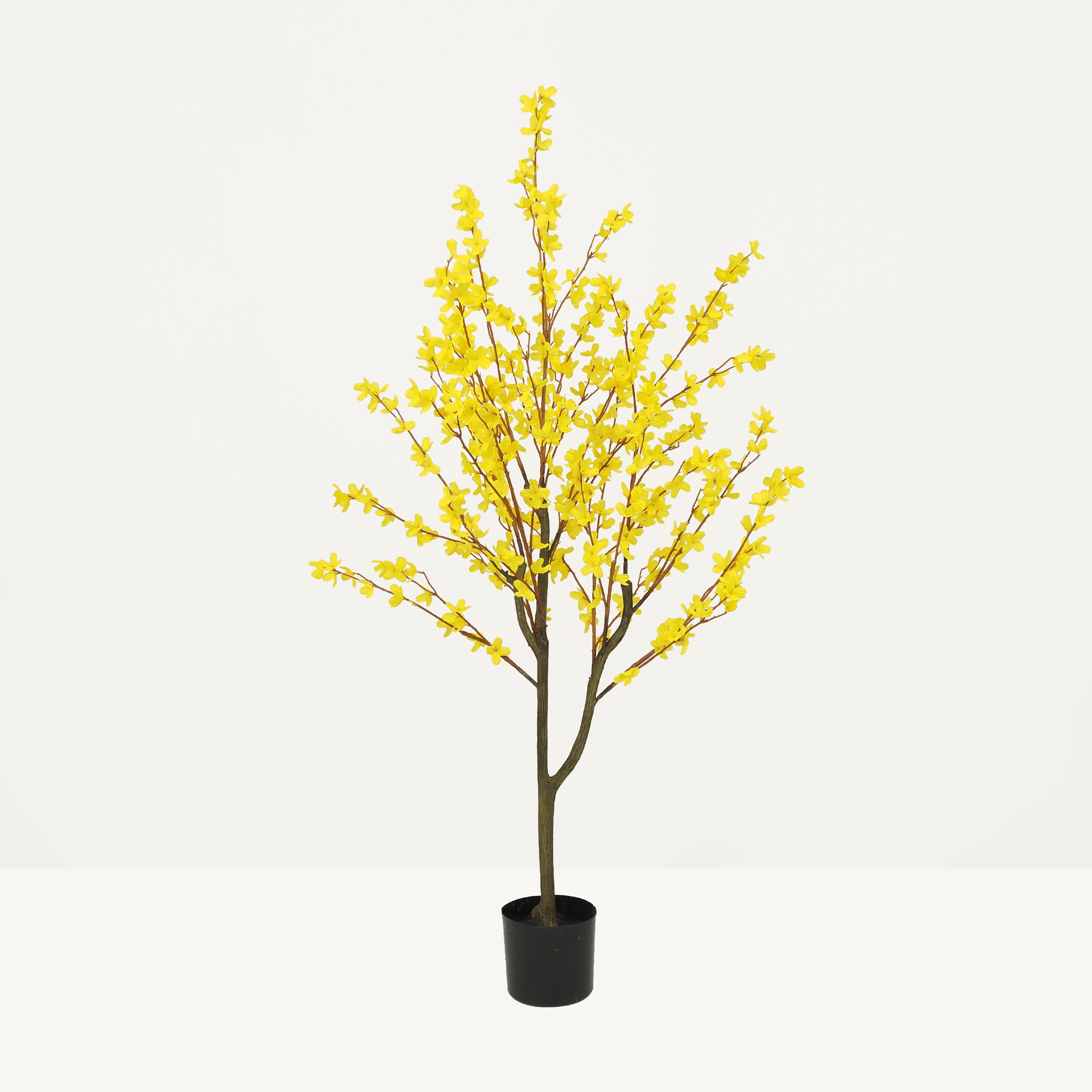 Forsythia artificiel jaune 150cm sur fond beige