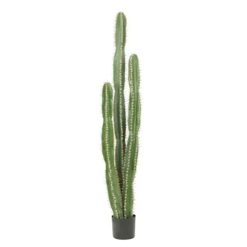 Cactus artificiel grande taille 155cm sur fond blanc