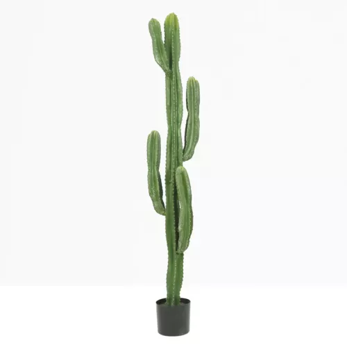 Cactus artificiel grande taille 155cm sur fond beige