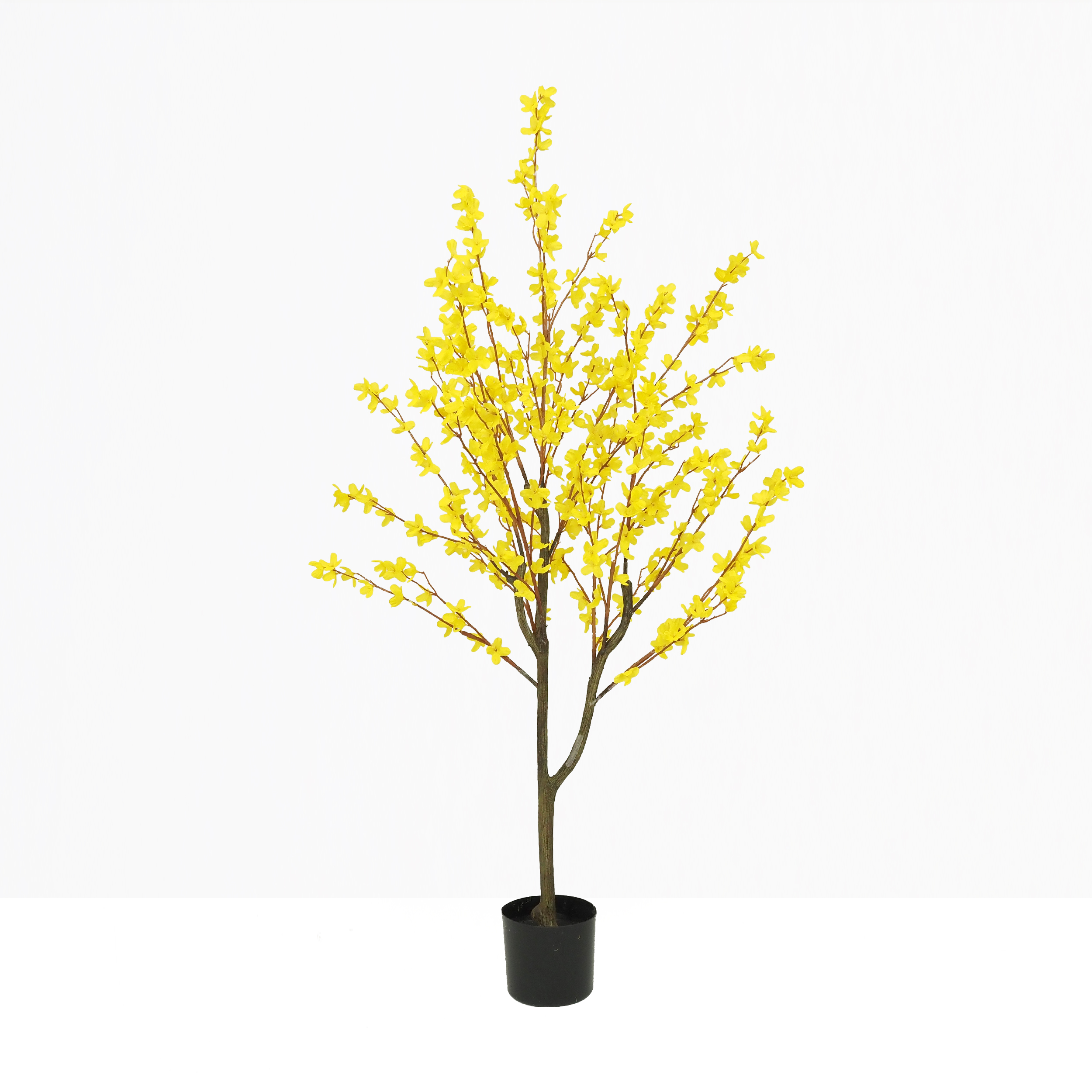 Forsythia artificiel jaune 150cm sur fond beige