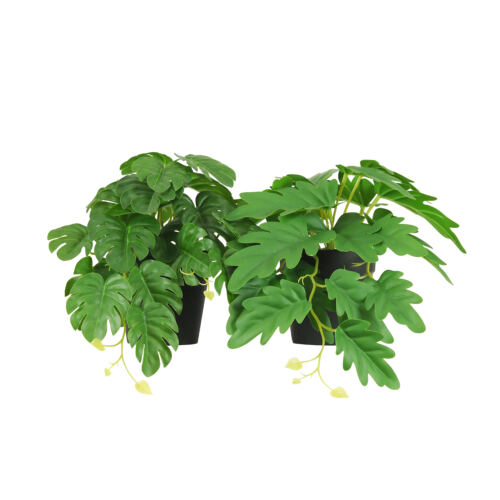 Plante artificielle tombante 25cm lot de 2 sur fond blanc