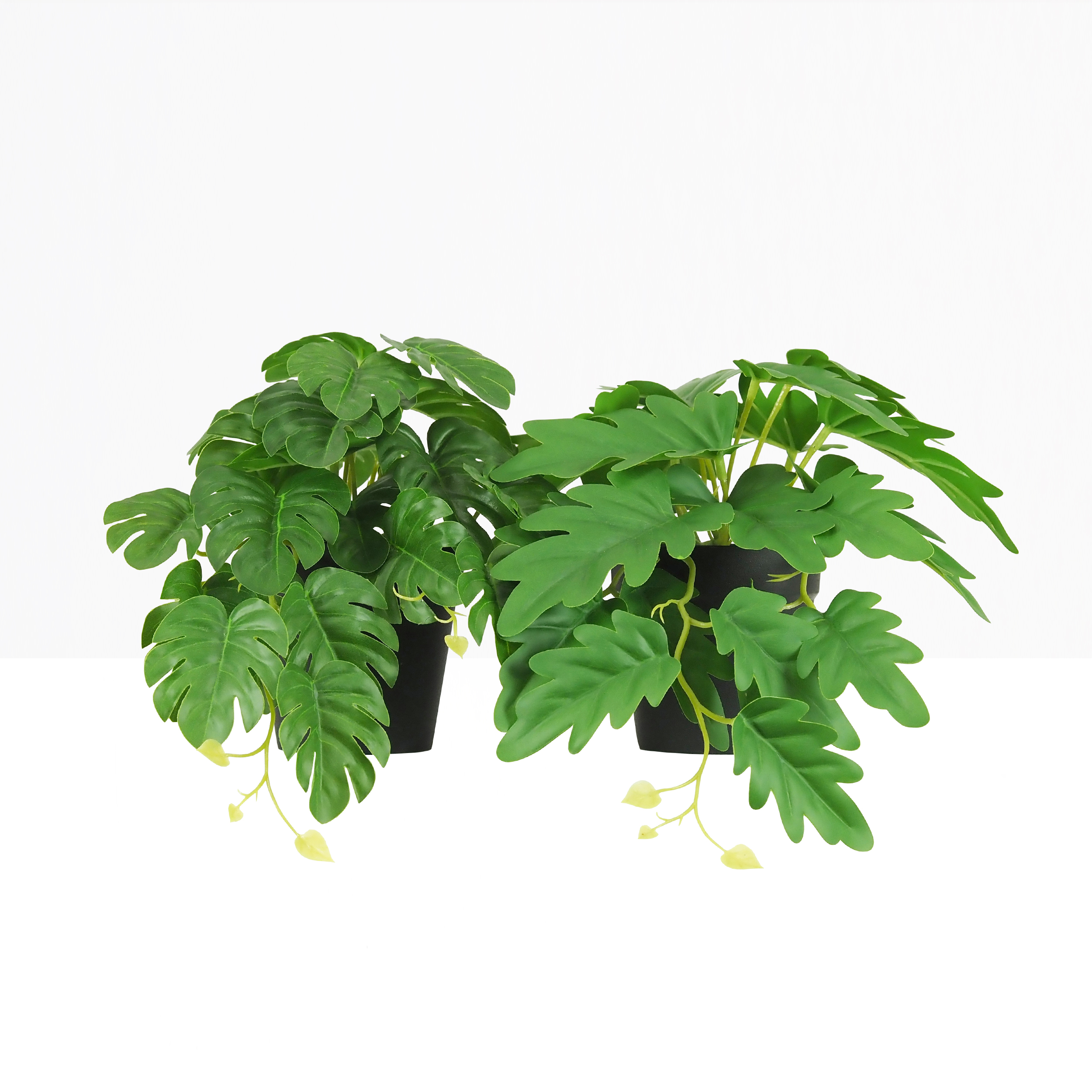 Plante artificielle tombante 25cm lot de 2 sur fond beige