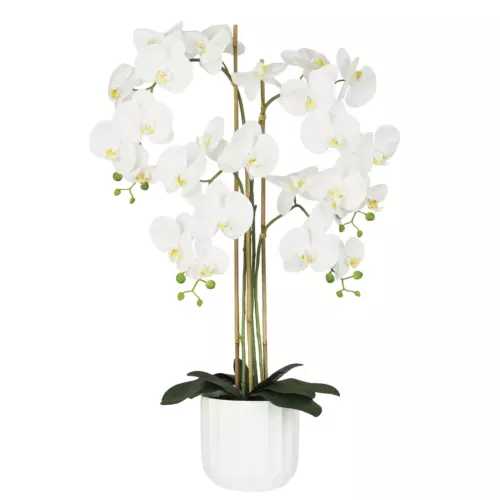 Orchidée artificielle toucher naturel 100cm sur fond blanc
