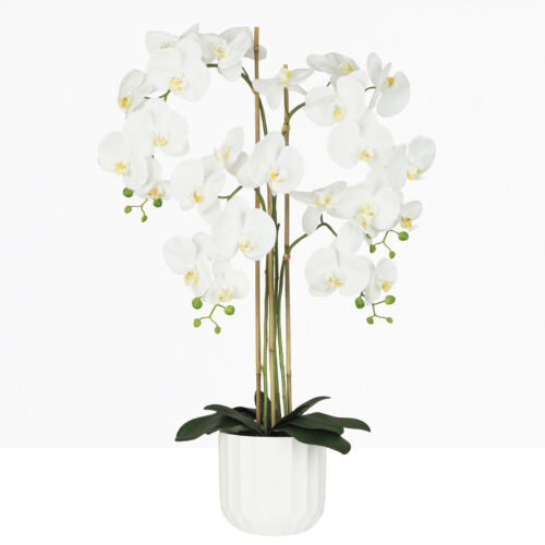Orchidée artificielle toucher naturel 100cm sur fond beige