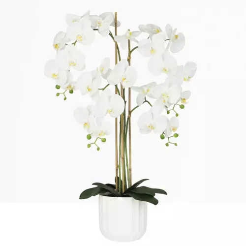 Orchidée artificielle toucher naturel 100cm sur fond beige