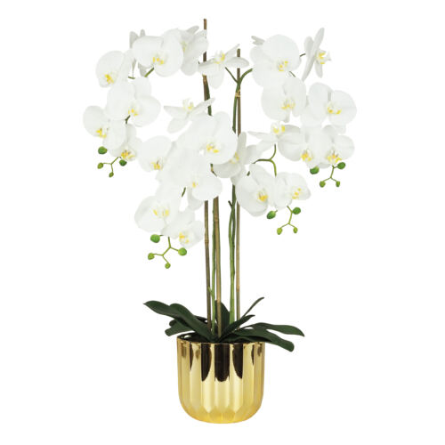 Orchidée artificielle toucher naturel 100cm sur fond blanc