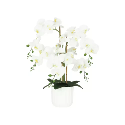 Orchidée artificielle toucher naturel 60cm sur fond blanc
