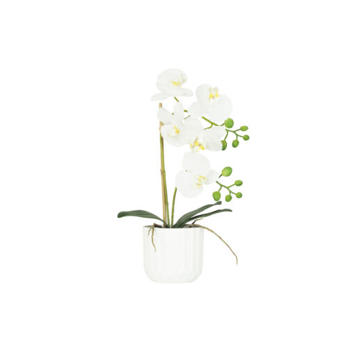 Orchidée artificielle toucher naturel 40cm sur fond blanc