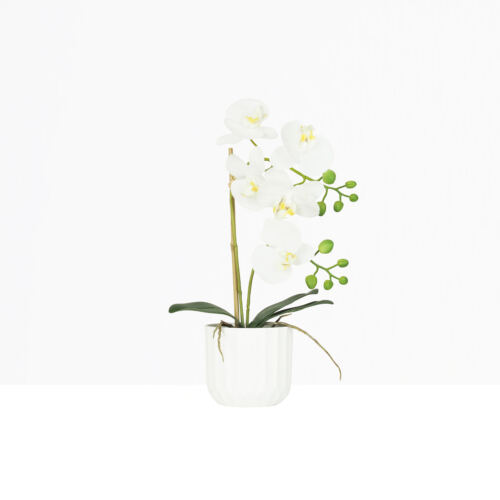 Orchidée artificielle toucher naturel 40cm sur fond beige