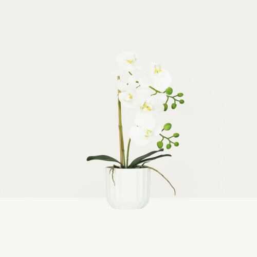 Orchidée artificielle toucher naturel 40cm sur fond beige