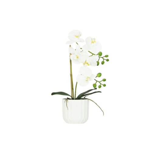 Orchidée artificielle toucher naturel 40cm sur fond blanc