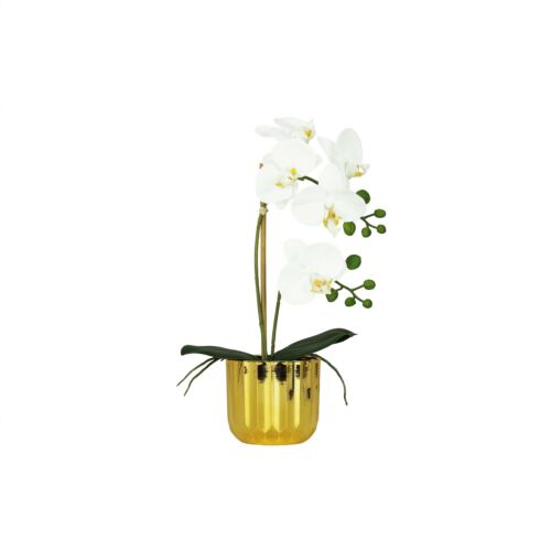 Orchidée artificielle toucher naturel 40cm sur fond blanc